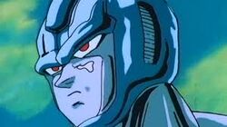 Metal-Cooler