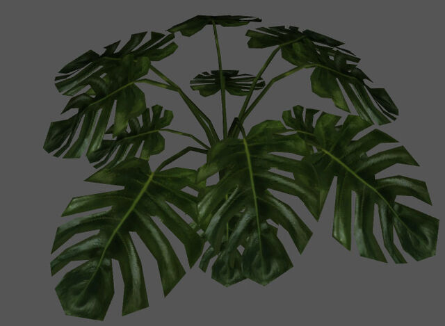 File:Plant2.jpg