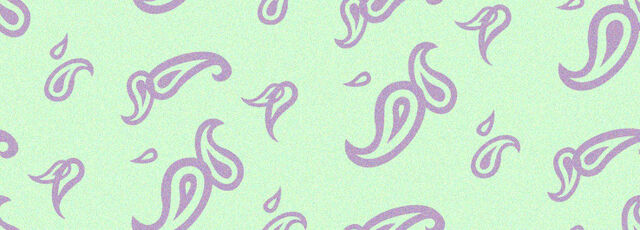 File:Paisley cyc.jpg