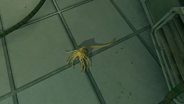 File:Evil-Science Facehugger.jpg