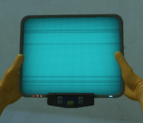 Blank ED
