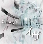 Case;a 2010