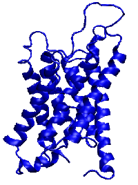 Aquaporins2