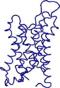 Aquaporins1
