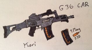 G36car