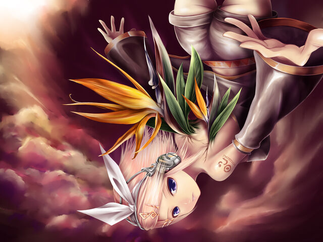 File:Bird of Paradise.jpg