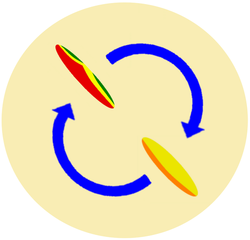 Fichier:Priorite thermique.png