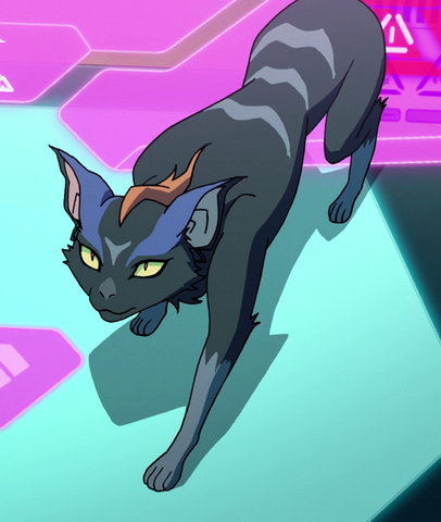 File:Kova.png