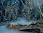 Dagobah.jpg