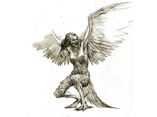 Plik:Harpy.jpg