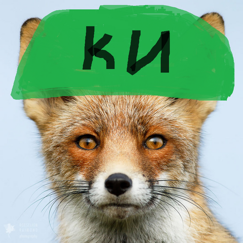 Файл:Рядовой Гарковенко.png