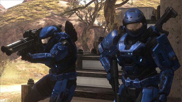 File:Reach 84626 Medium.jpg