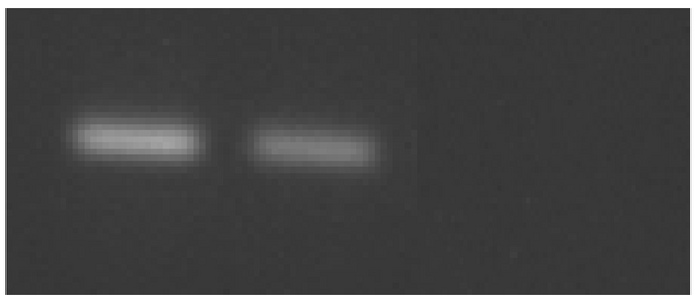Datei:Mag figure34c.png