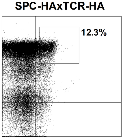 Datei:Mag figure11c.png