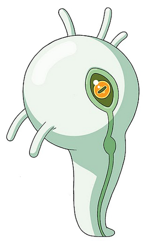 File:O color.png