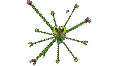 Durrplant