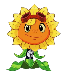 Solar Flare