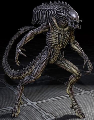 File:3386901-predalien-avp-2010-video game-model.jpg