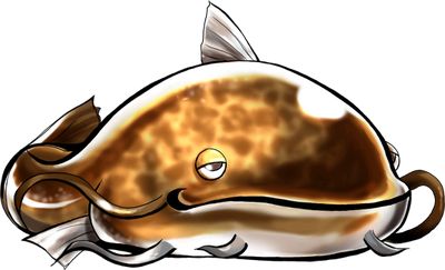 Catfish