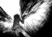 Accel Black Wings