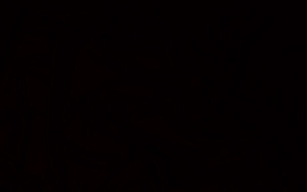 Black-windows 542931