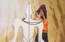 Yoruichi holds Tenshintai
