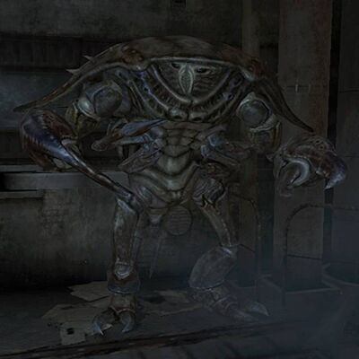 1058219-mirelurk hunter