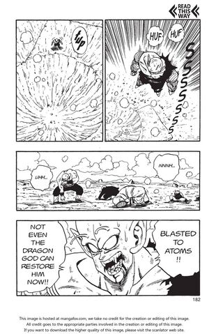 File:Tdragon ball v016-182.jpg