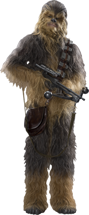 Chewbacca