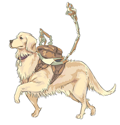 Noukan