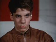 Sean-Donovan
