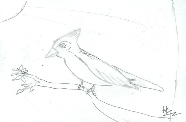 File:Anisha Kumar Bird.jpg