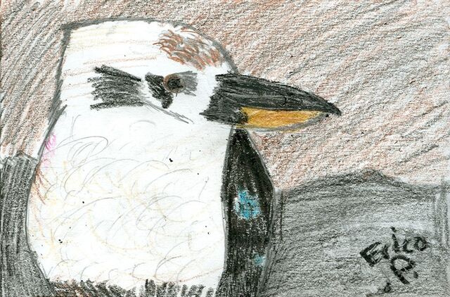 File:Erica Parnis Birdie.jpg