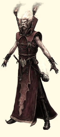 Файл:BrightWizard01 05.png