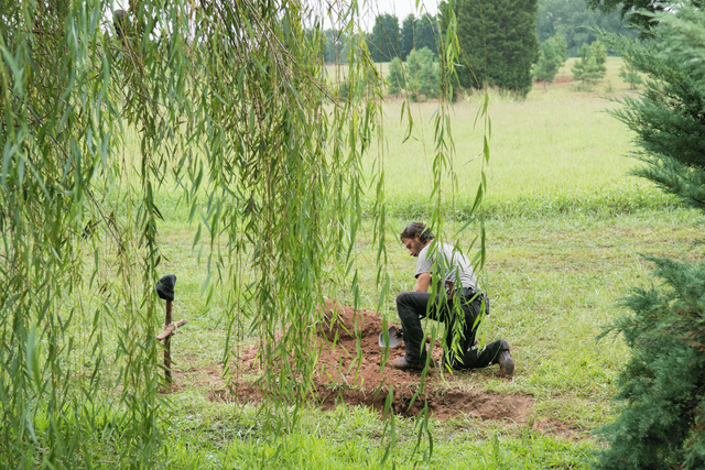 File:AMC 509 Rick Burying Tyreese.png