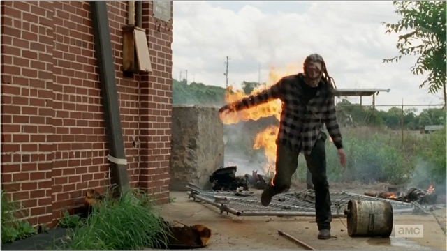 File:TWD Burning Walker.png