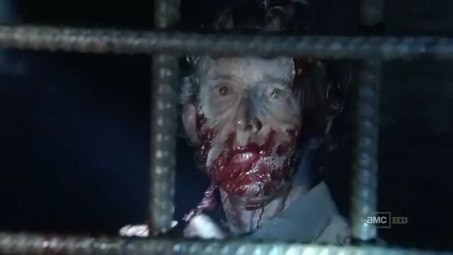 File:Rat Walker.jpg