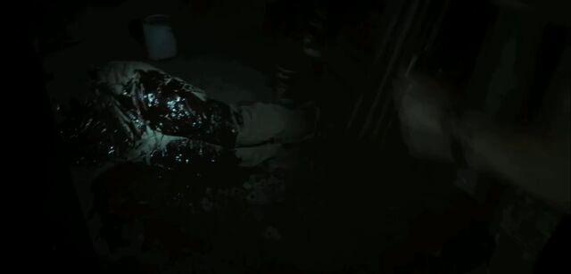 File:Palmer Dead.jpg