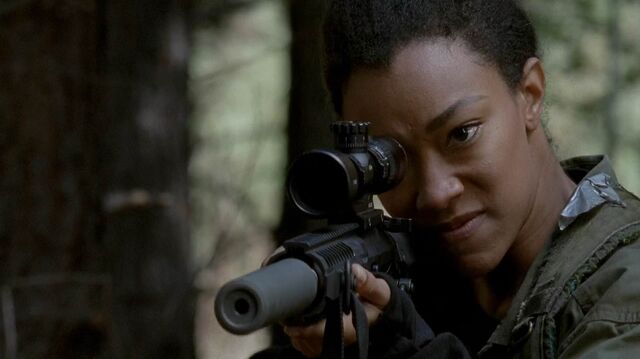 File:Twd0515-2019.jpg