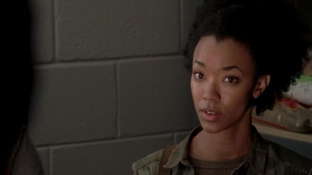 File:Sashasuspectsthegovernor.jpg