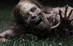 1000px-Zombiee.jpg
