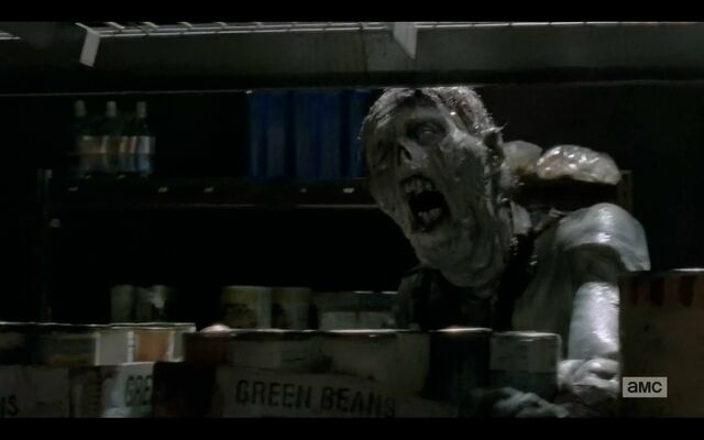 File:Chris Harrelson Zombie Strangers.jpg