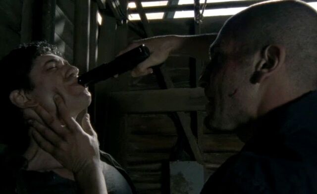 File:TwdshanebarnA.jpg