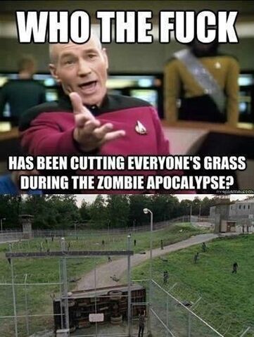 File:Cutting-grass.jpg