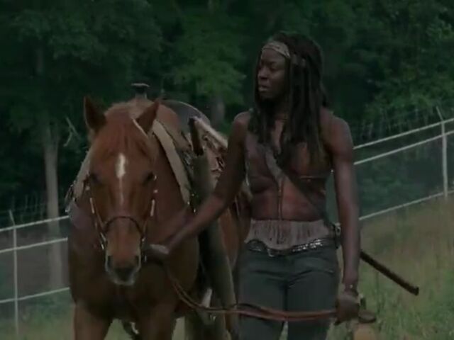 File:Michonne Flame Infected.jpg