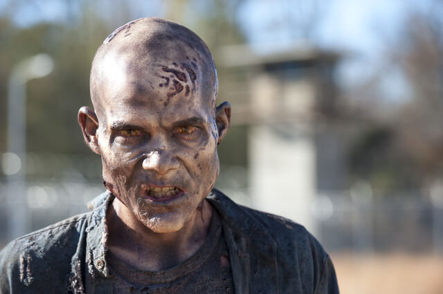 File:The-walking-dead 3x16 finale 2.jpg