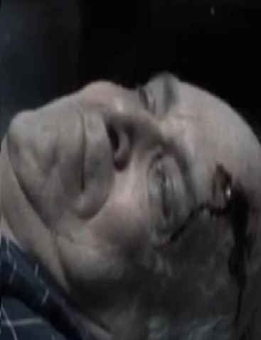 File:Banelder1.png