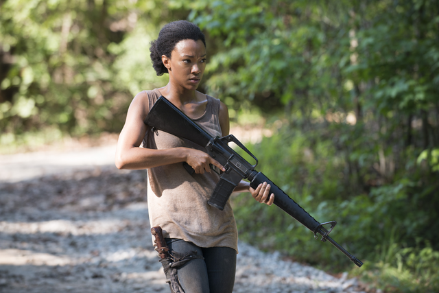 File:TWDS05 M16A1.png