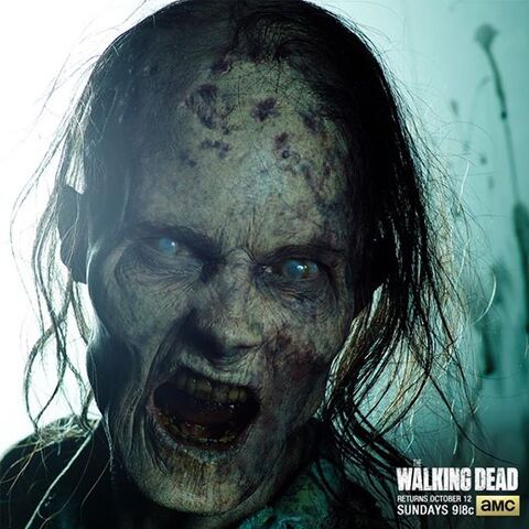 File:WalkerS5-3.jpg