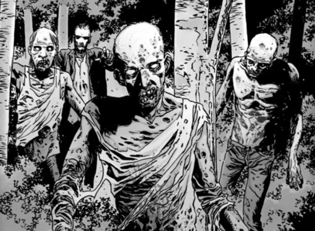 File:WoodWalkers - I129.jpeg